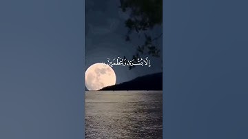 تلاوه تريح القلب بصوت الشيخ ماهر المعيقلي #قران_كريم #ارح_قلبك #قرآن #لايك #شورتس#شورتس_قرآن