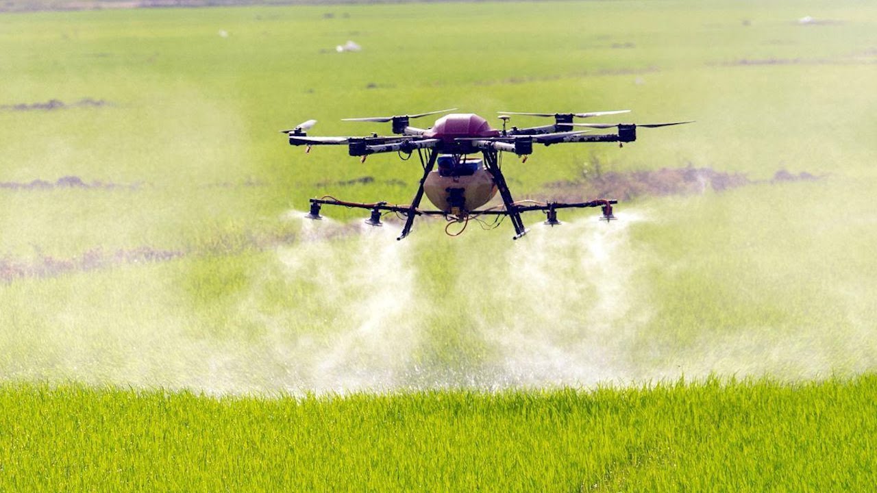 Dron Jadi Pilihan Pesawah Kelantan Youtube