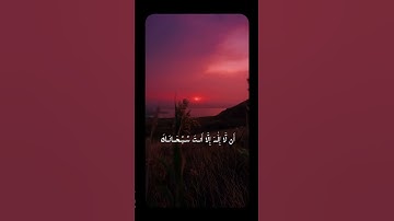 اكتب شيء تؤجر عليه🖤 #القرآن_الكريم #ياسر_الدوسري #سورة_الأنبياء #فلسطين #غزة #صلوا_على_النبي #حالات