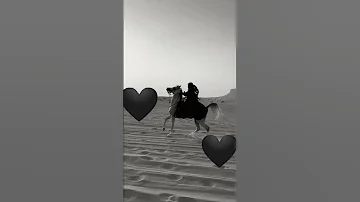 هيباتنا ترهب الذيب سرحاني تصاميم شيلات وكذاا 