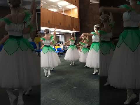 Берёзы, русский танец