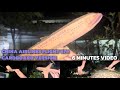 China Airlines Flight 676 Crash (Cardboard Version) 6 Minutes video 