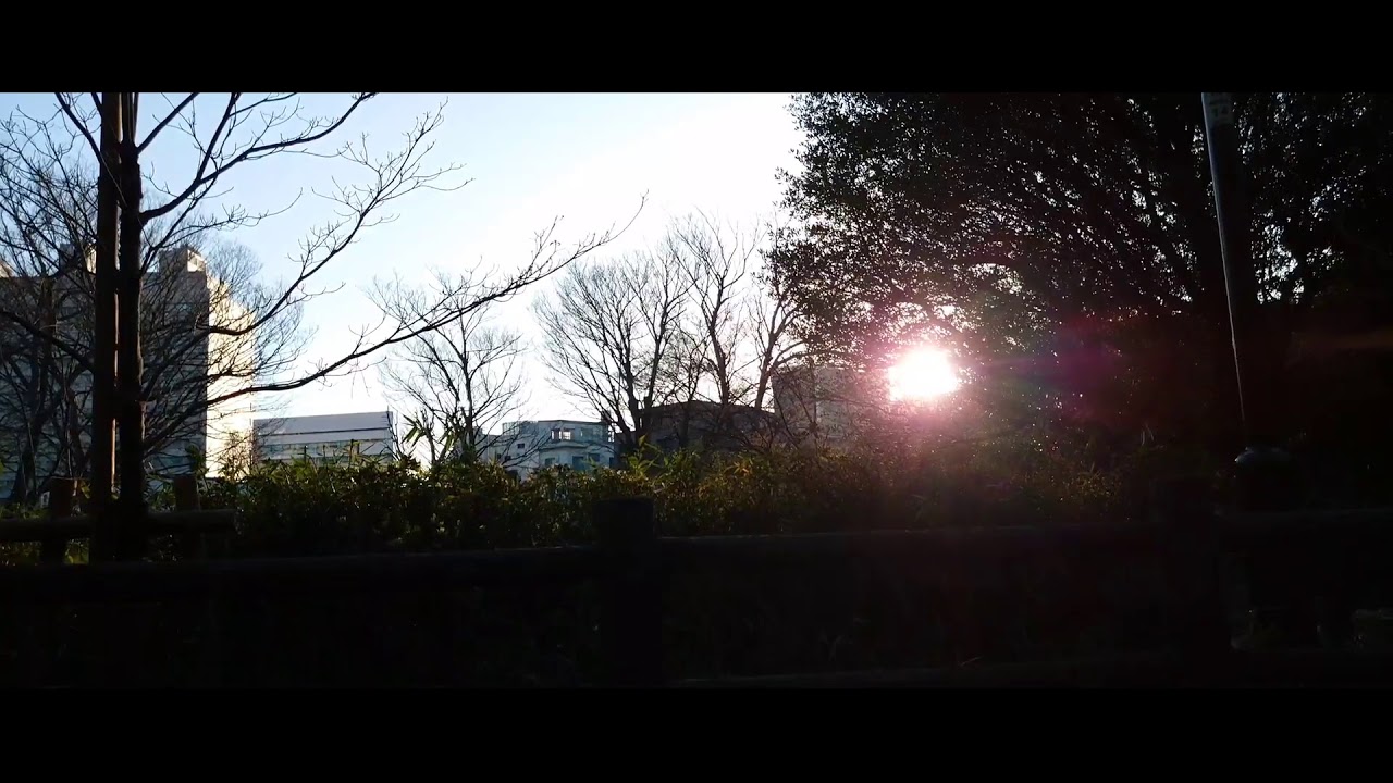 外配信 東京新宿から桜を探して スマホ Youtube 外配信 東京新宿から桜を探して スマホ Youtube