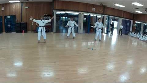 JKI May 2019 1-Kyu Kata test - Kankudai