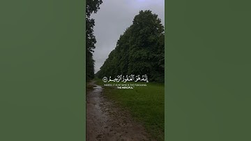 القارئ ماهر المعيقلي | سورة الزمر