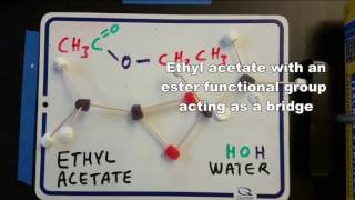 Ester synthesis from Acetic Acid and Ethanol