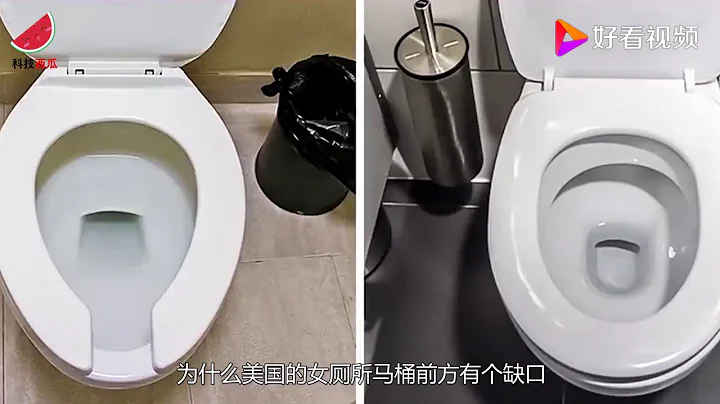 為何美國的女廁所，馬桶前方有個缺口？怪不得只有國外才有 - 天天要聞