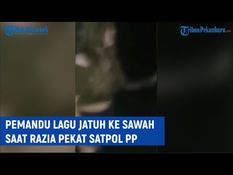 Viral, Pemandu Lagu Sampai Jatuh ke Sawah Takut Ditangkap Satpol PP