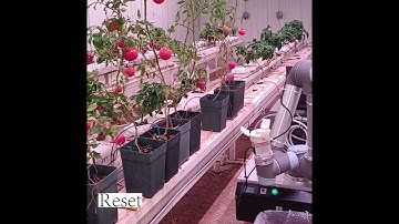 A video of the rotating gripper and experiments