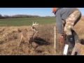 KS Deer Rescue