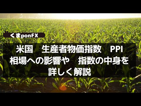 米国経済指標PPI、生産者物価指数、詳しい解説動画