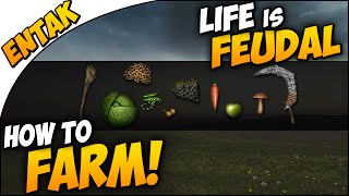 Life is Feudal ➤ Guide & Tutorial - HOW TO FARM - How To Gather Seeds & Plants