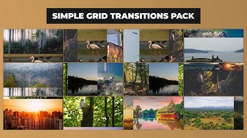 Simple Grid Transitions Pack_01  After Effects Templates