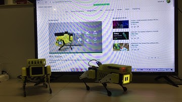 Teach Mini Pupper Pee and Dance