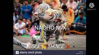 🐅TIGER 💃DANCE🕺 BY DJ ZEED DJ RAJA DJ MAC DJ DCR 