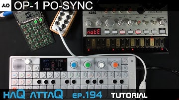 OP-1 PO SYNC Split Signal │ Tutorial - haQ attaQ 194