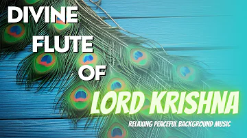 Divine Flute of Lord Krishna | Music to relax your Body, Mind & Soul #focusmusic #healingmusic