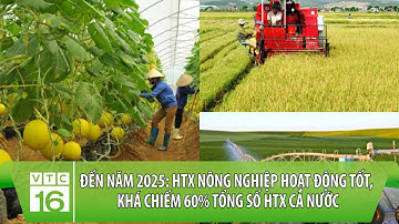 Đến năm 2025: HTX nông nghiệp hoạt động tốt, khá chiếm 60% tổng số HTX cả nước | VTC16