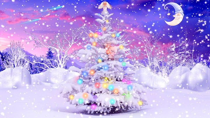 Karácsony csillaga 🎄🌟🎄