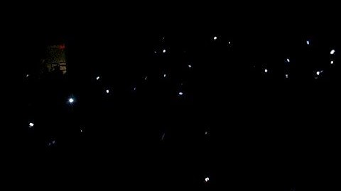 Oswego Step it Up III - Soca Frenzy