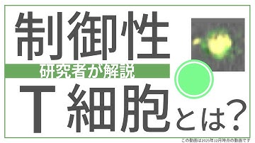 がんと免疫の仕組み：制御性T細胞の役割をやさしく解説【国立がん研究センター 研究所】