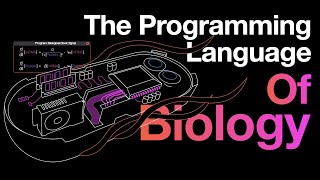 The Programming Language of Life? (TMEB #1)