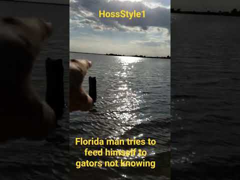 Walking in gator infested waters #gator #Florida #floridaman #alligator #spacecoast #manatee