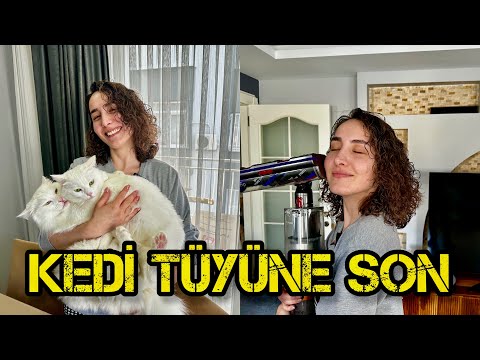 KEDİ TÜYÜNE SON! EVİMİ NASIL TEMİZ TUTUYORUM? (Kedi Bakımı, Evde Parazit Aşısı)