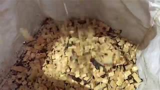 Talley Sawmill wood chip production