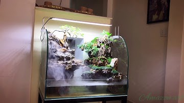 Aquaterarium- hồ bán cạn tiểu cảnh thác nước