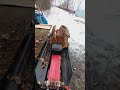 CHERRY FIREWOOD #firewood #wood #diy #outdoors #nature #harborfrieght #tools #logsplitter #chainsaw