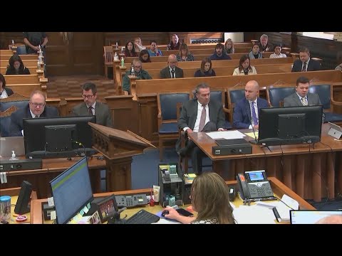Rittenhouse lawyers ask