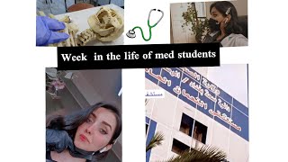 أول أسبوع في كلية الطب|فلوك|الجامعة العراقية