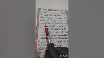 تثبيت و تربيط سورة البقرة صفحة ١٦