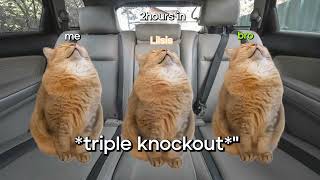 POV Cat meme: Roadtrip PT. 1 -  Furry Buddy by Furry Buddy 407 views 3 months ago 51 seconds