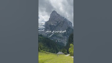 سورة الناس بصوت القارئ شريف مصطفى