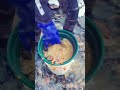 137 100 VG Goldrush Gold Emas Oro Satisfying Orpai 137 100 VG Goldrush Gold Emas Oro Satisfying Orpai