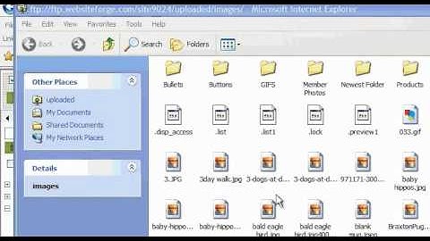 Image Store Upload Via FTP - Websiteforge Ecommerce Website