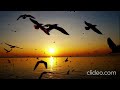 За нас AI Music Official Music Video Авторская Песня Музыка для Души музыка лучшиетреки За нас AI Music Official Music Video Авторская Песня Музыка для Души музыка лучшиетреки