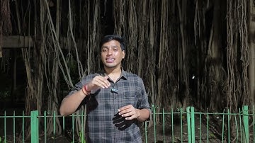 Hall Ticket Update For F Y Bcom Honours Sem 1 Internal Exam #msu #msubaroda #msuniversity #agsu