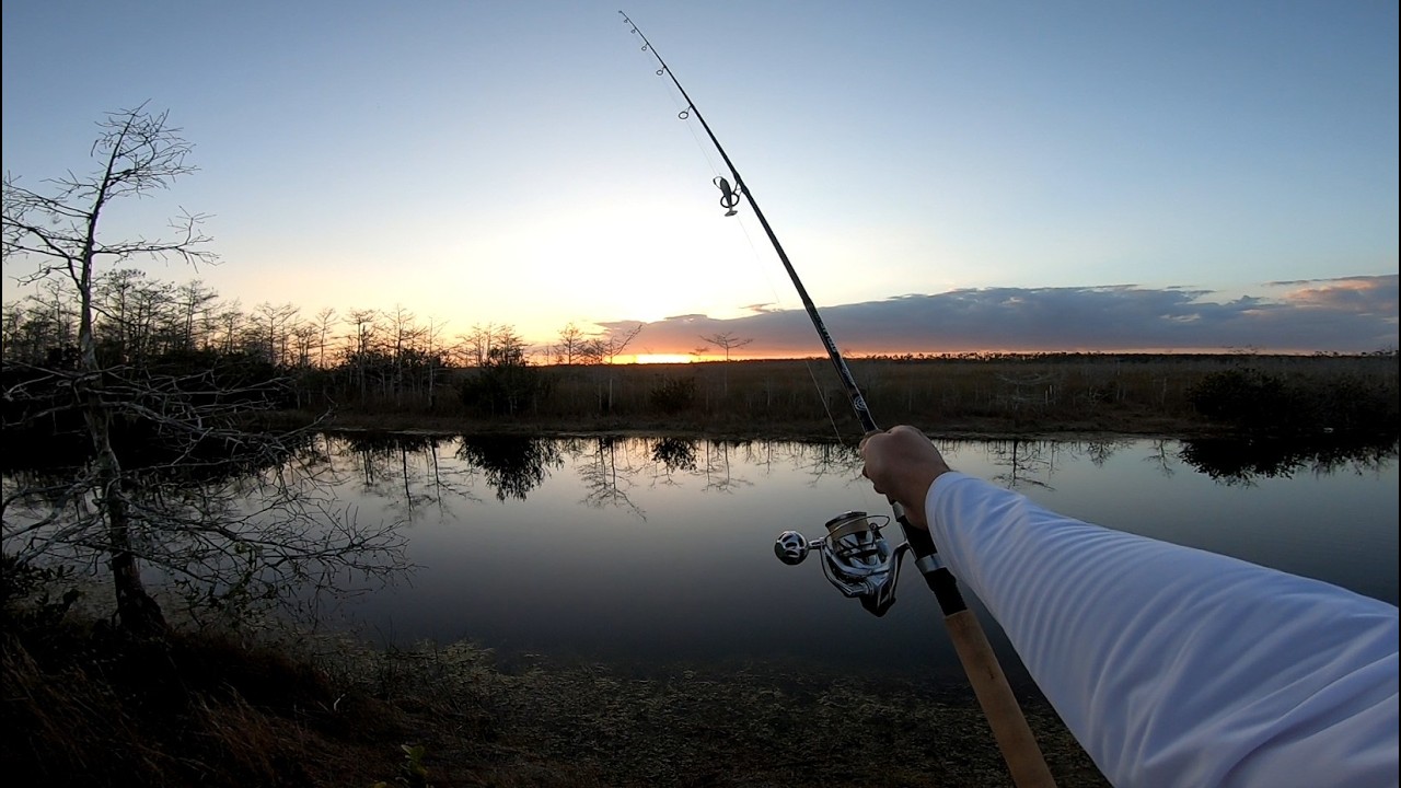 Winter Fishing for Bass in Florida Everglades