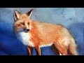 Watercolor Painting of a Fox - How to Paint Fur