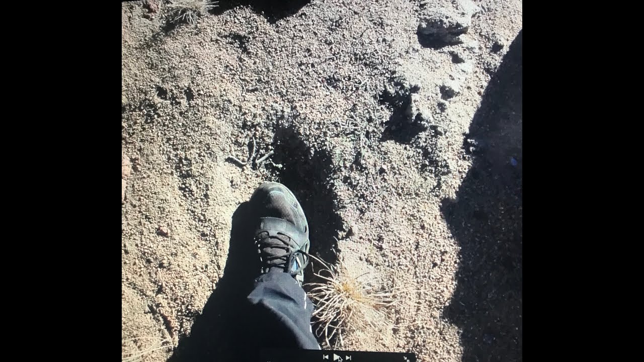 Somethings Follow Me in the Forest CLOSE and Communicates - YouTube