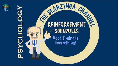 Reinforcement Schedules: Good timing is everything