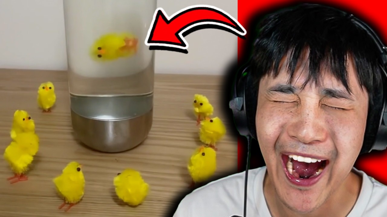 Funniest try not to laugh challenge in history #14