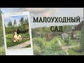 сад малого ухода/что не нужно сажать в саду