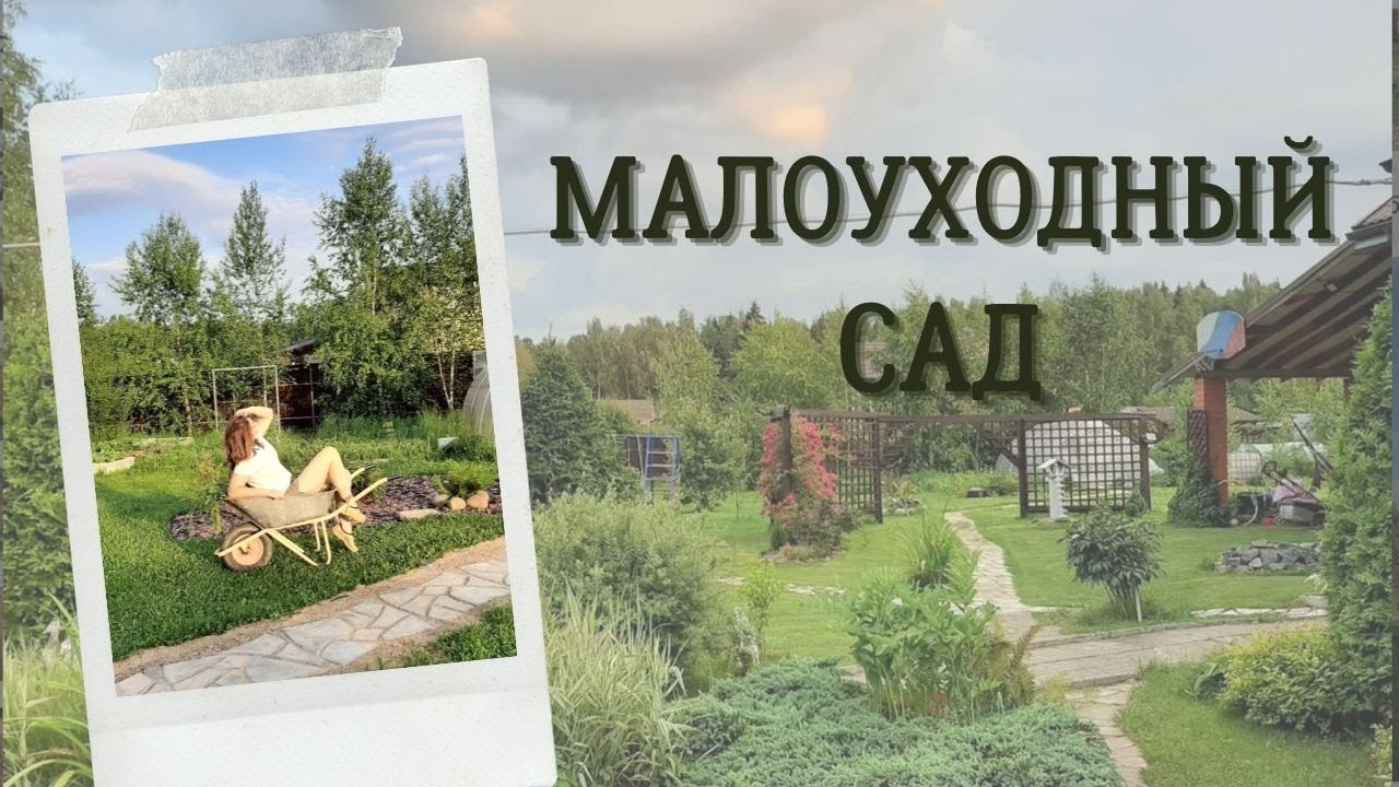 Малоуходный Сад Фото Малоуходный Сад Фото