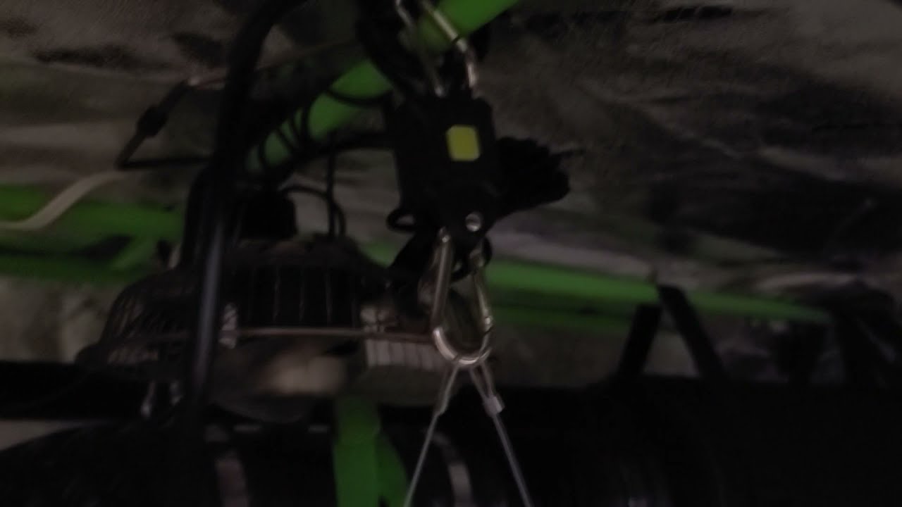 First Grow Vlog Flowering week 2. Two HLG V100 R Spec in mars hydro 3x3. Dyna Grow Bloom Nutrients