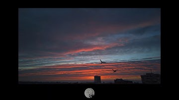 Chaos In The CBD - Common Unity (feat. Archie Pelago)