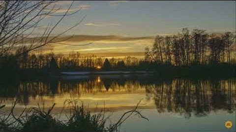 Tiếng Anh êm dịu khi ngủ ENG VIETSUB   TĂNG KHẢ NĂNG CẢM ÂM luyện nghe thụ động cho người mới học